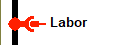 Labor